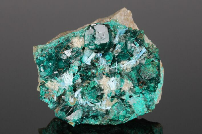 Dioptase, Quartz and Fibrous Shattuckite Association #175950